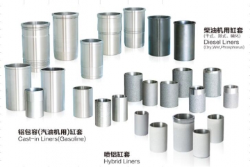 安庆帝伯格茨缸套有限公司