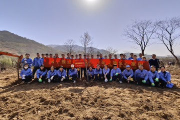 初春添新绿 植树正当时